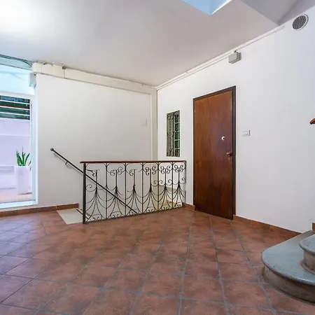 Mayr White * 페라라